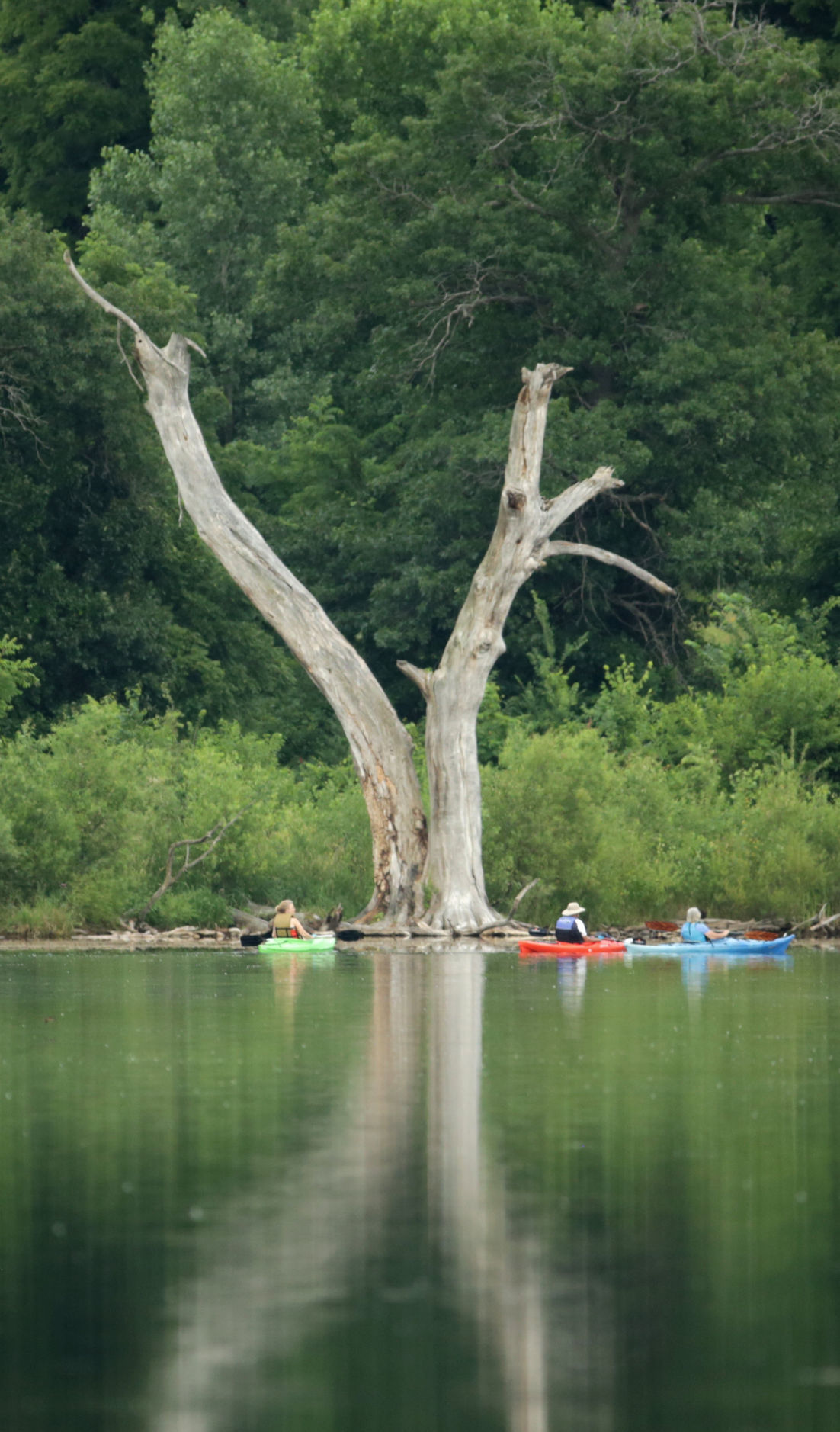 Mad City Paddlers at tree